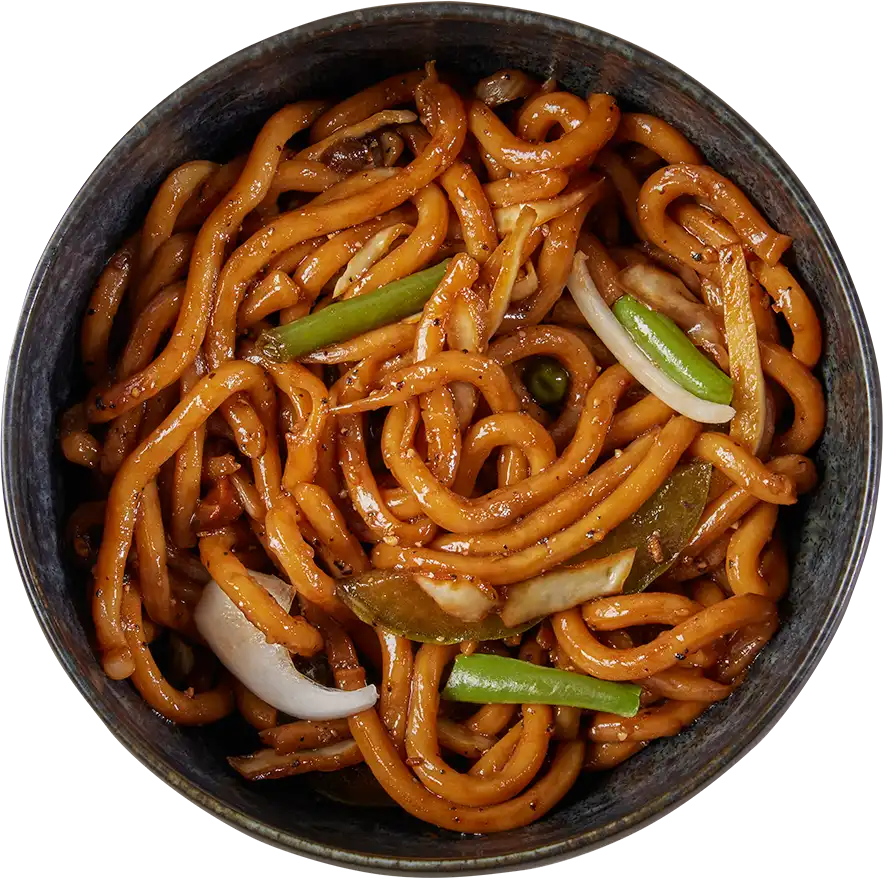 Udon Noodles