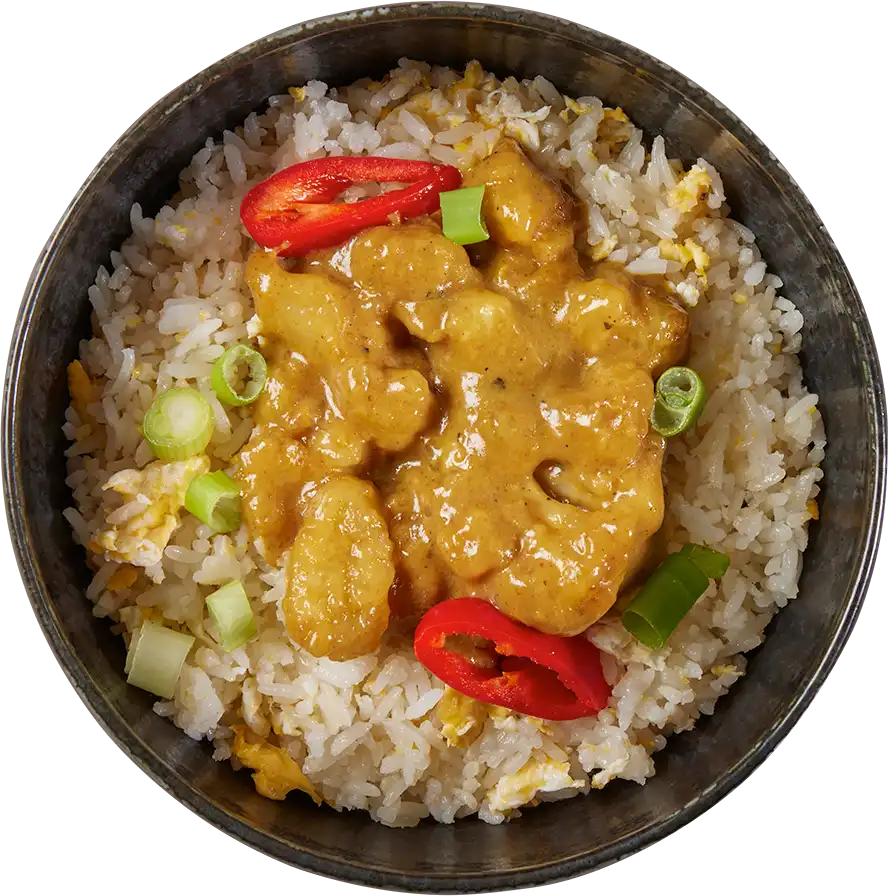 Katsu Vegetable Curry